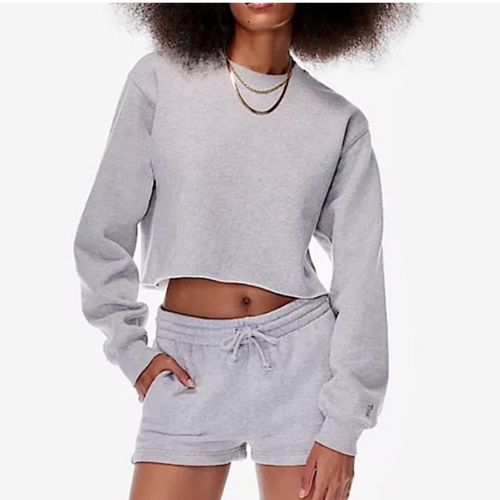 ARITZIA Tna Cozy Fleece Perfect Crop Sweatshirt Sweater Pullover Crew Top